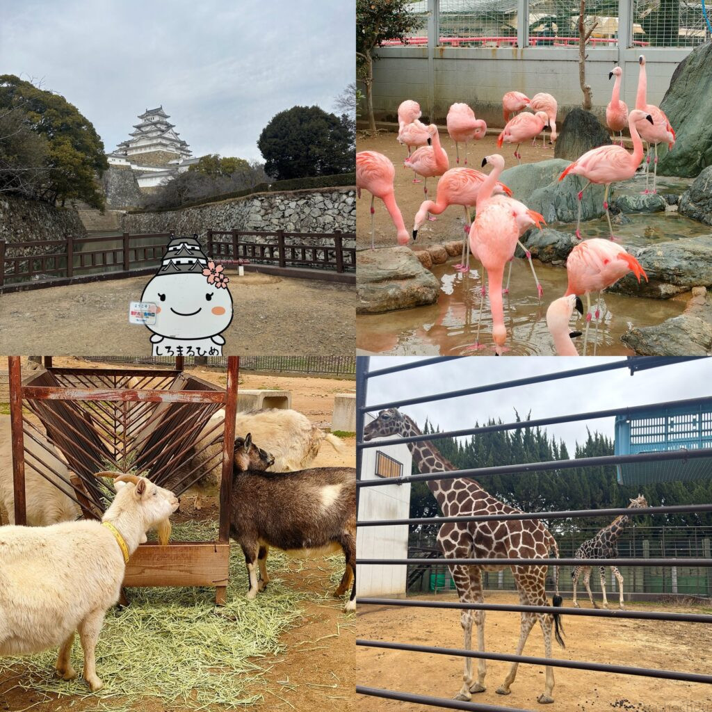 姫路市立動物園
