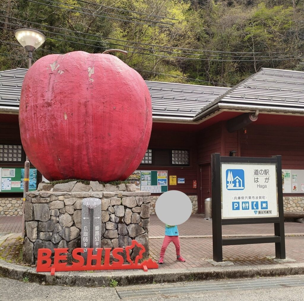 道の駅 はが