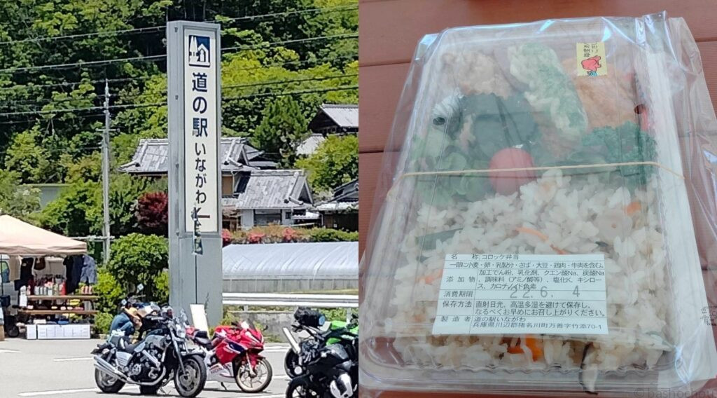 道の駅 いながわ