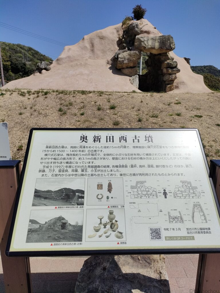 奥新田西古墳