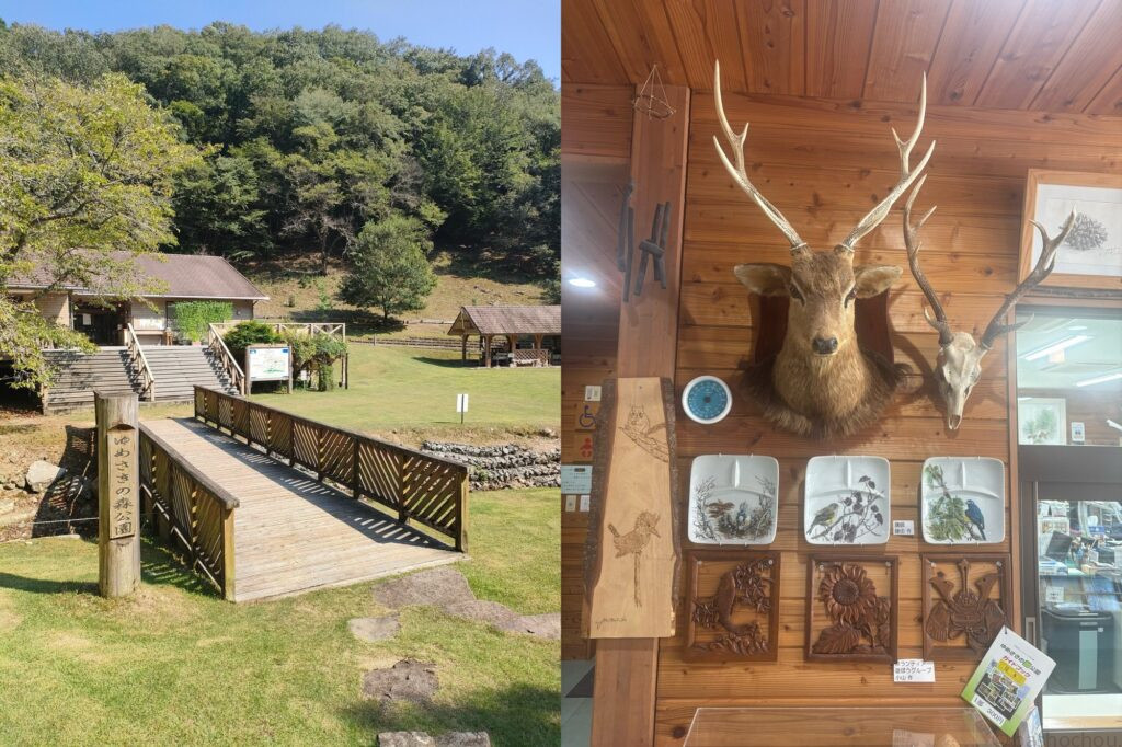 ゆめさきの森公園
