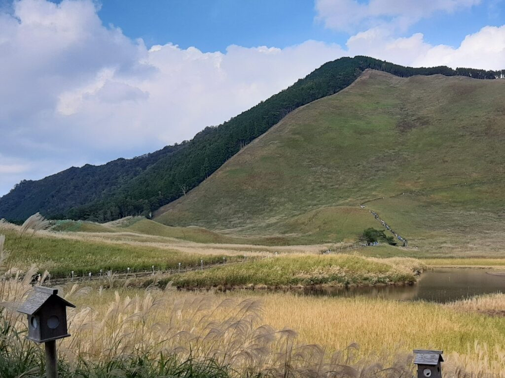 曽爾高原
