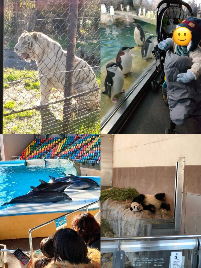 アドベンチャーワールド
