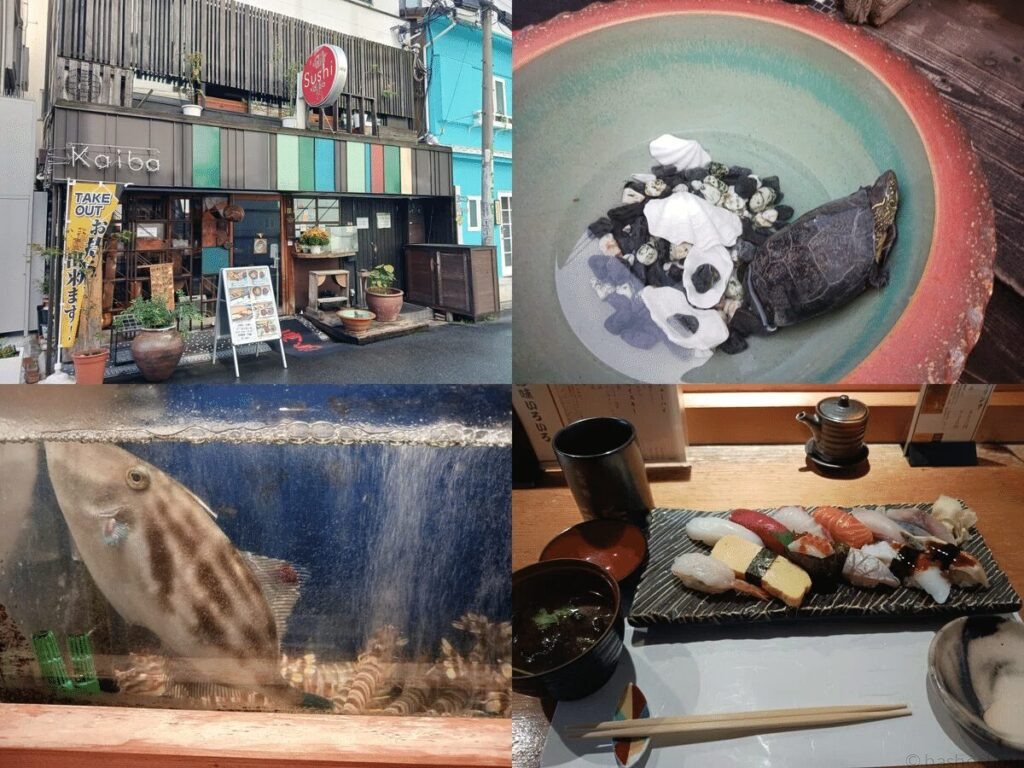 本等鮨 海馬