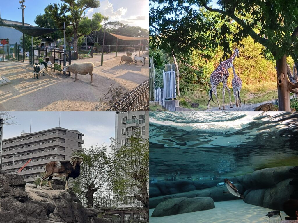 天王寺動物園