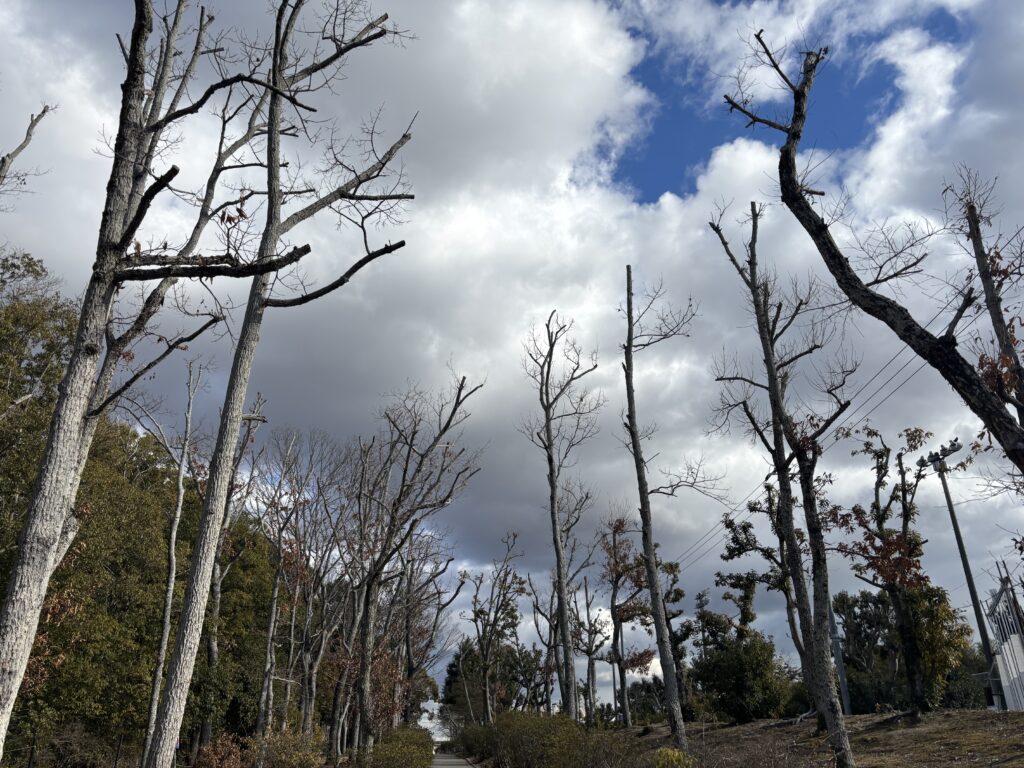 日岡山公園