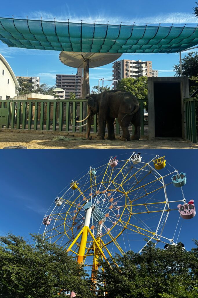 王子動物園