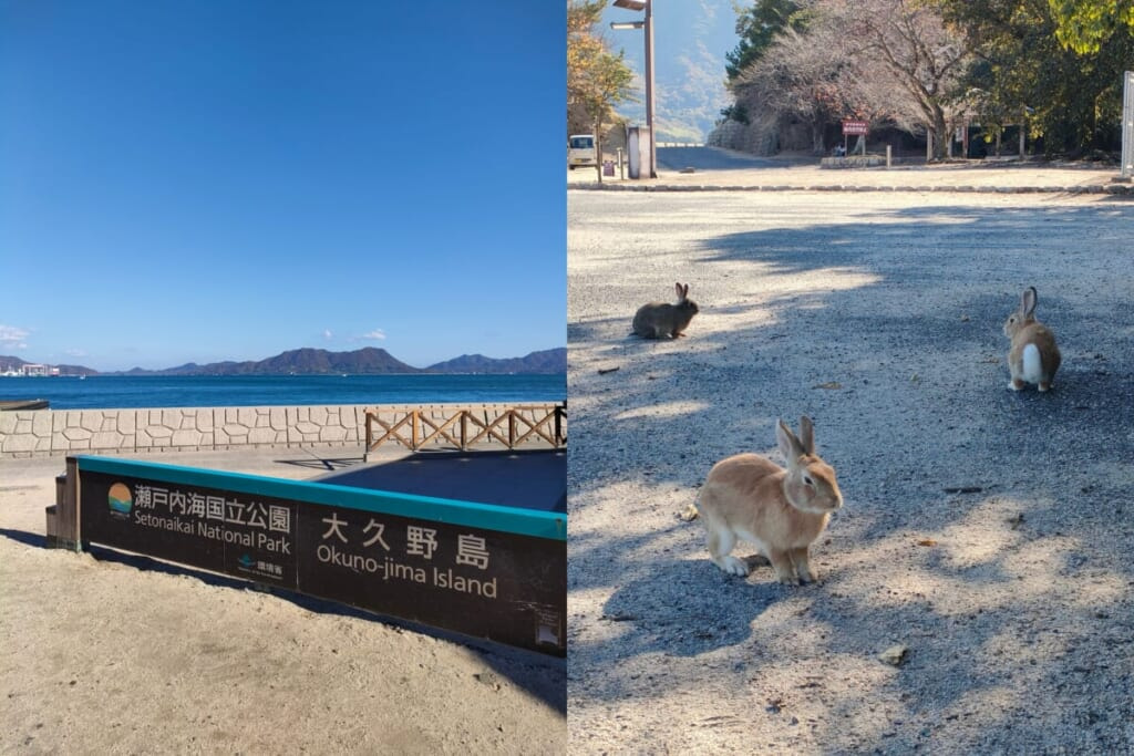 大久野島