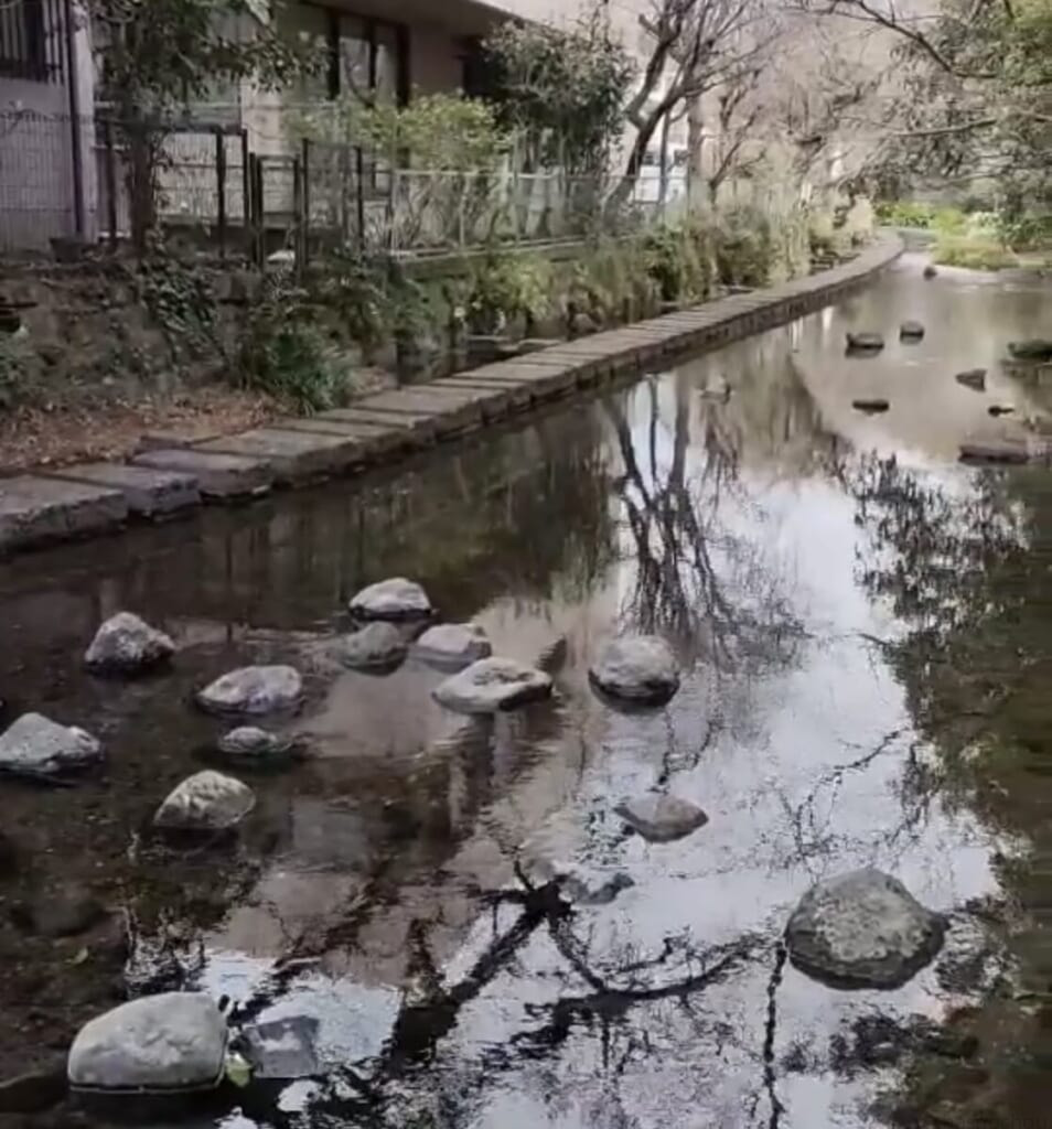 水辺の散歩道（源兵衛川）