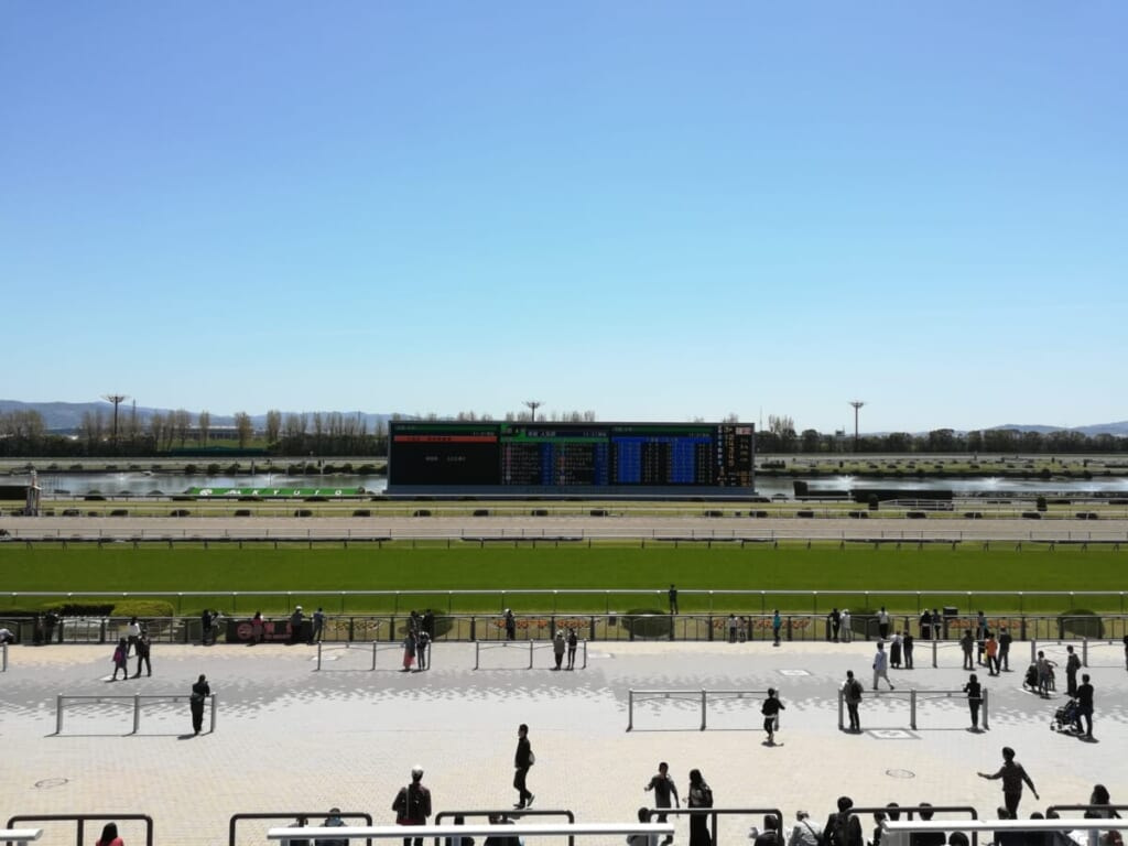 京都競馬場