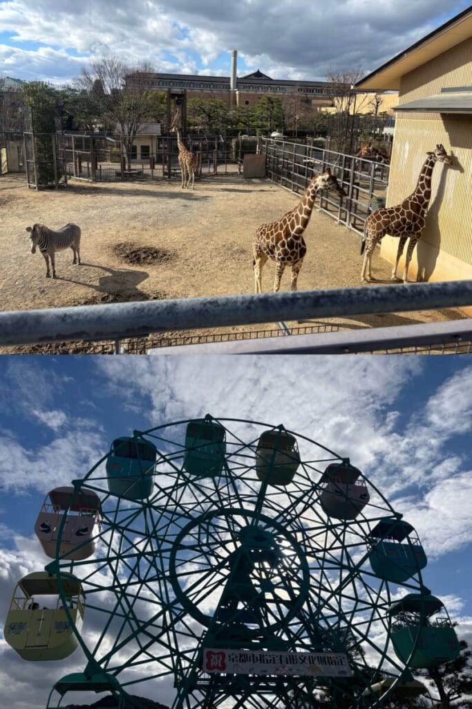 京都市動物園