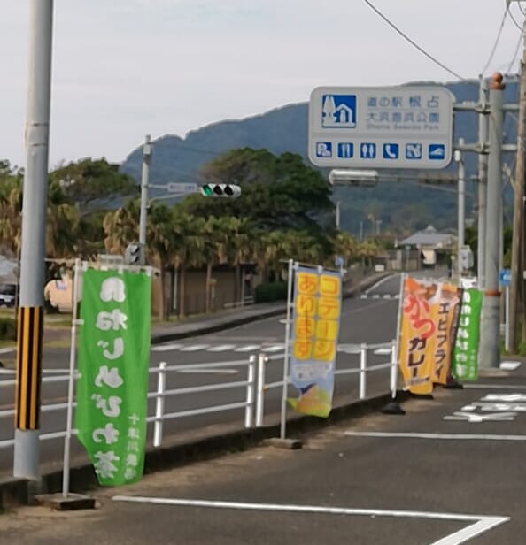 道の駅 根占