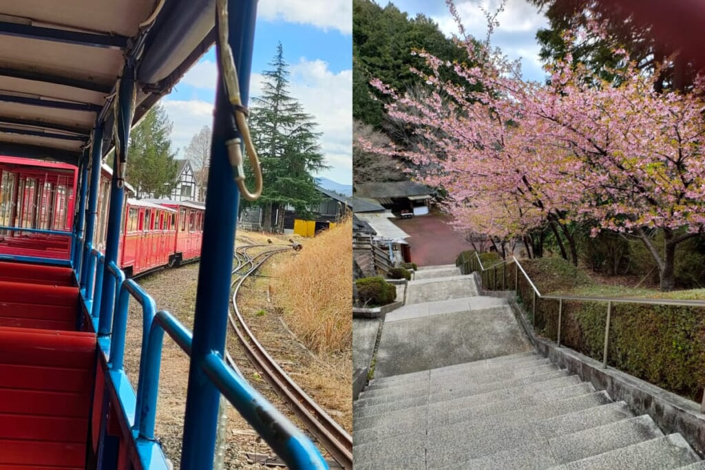 修善寺 虹の郷