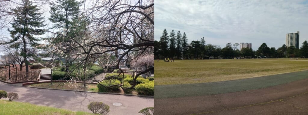 榴岡公園