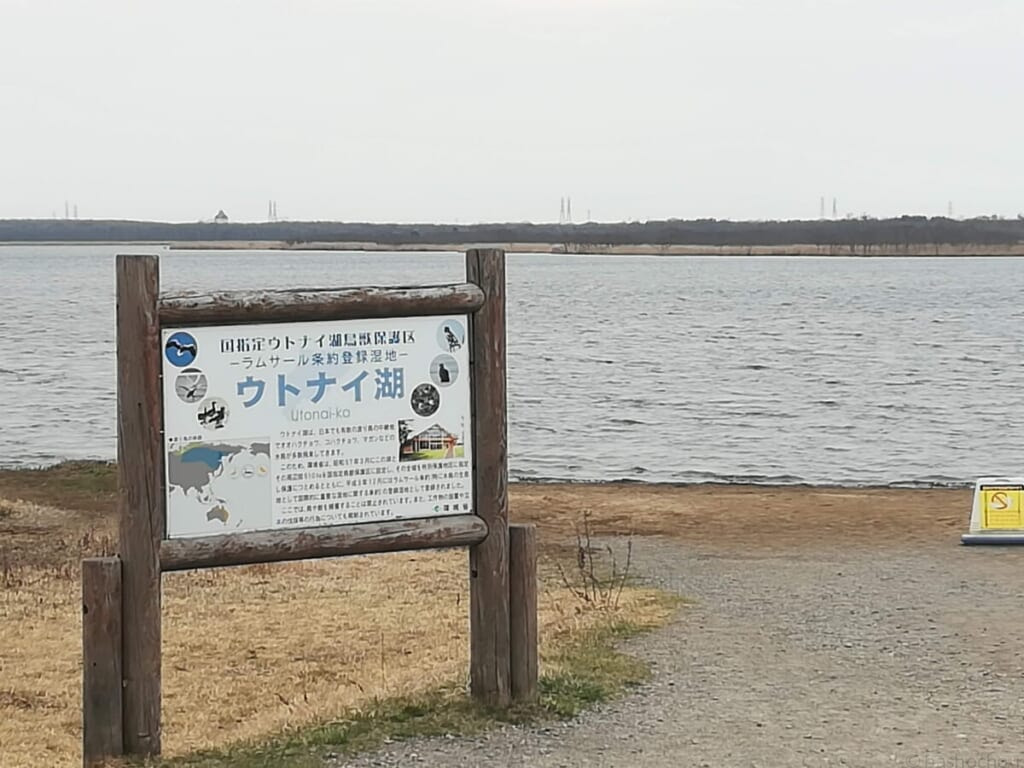 ウトナイ湖